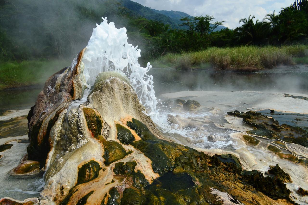 Koi Koi, Fort Portal Kasusu Exteriér fotografie